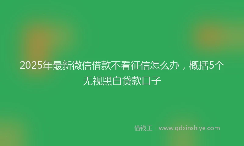 2025年最新微信借款不看征信怎么办，概括5个无视黑白贷款口子