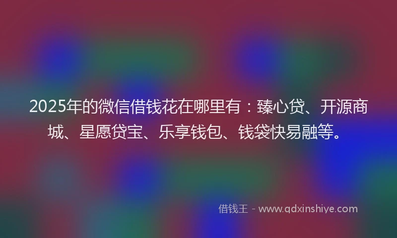 2025年的微信借钱花在哪里有：臻心贷、开源商城、星愿贷宝、乐享钱包、钱袋快易融等。