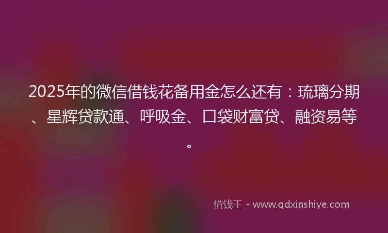 2025年的微信借钱花备用金怎么还有：琉璃分期、星辉贷款通、呼吸金、口袋财富贷、融资易等。