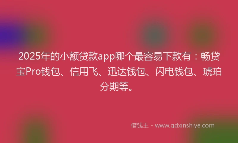 2025年的小额贷款app哪个最容易下款有：畅贷宝Pro钱包、信用飞、迅达钱包、闪电钱包、琥珀分期等。