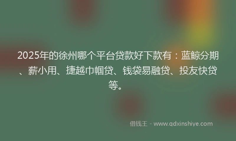 2025年的徐州哪个平台贷款好下款有：蓝鲸分期、薪小用、捷越巾帼贷、钱袋易融贷、投友快贷等。