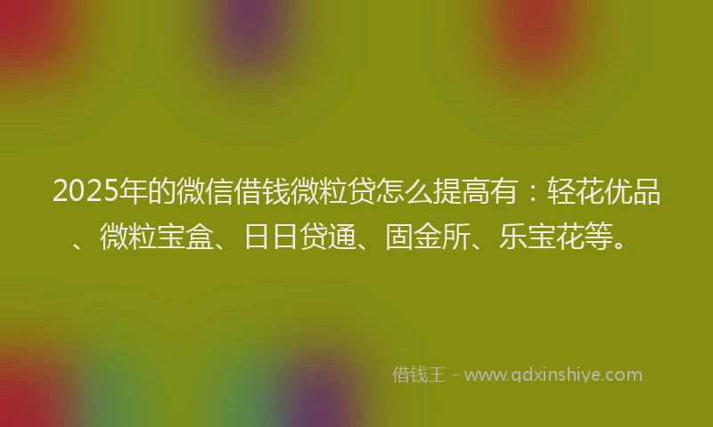 2025年的微信借钱微粒贷怎么提高有：轻花优品、微粒宝盒、日日贷通、固金所、乐宝花等。