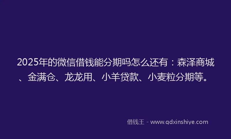 2025年的微信借钱能分期吗怎么还有：森泽商城、金满仓、龙龙用、小羊贷款、小麦粒分期等。