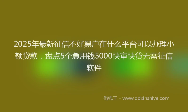 2025年最新征信不好黑户在什么平台可以办理小额贷款，盘点5个急用钱5000快审快贷无需征信软件