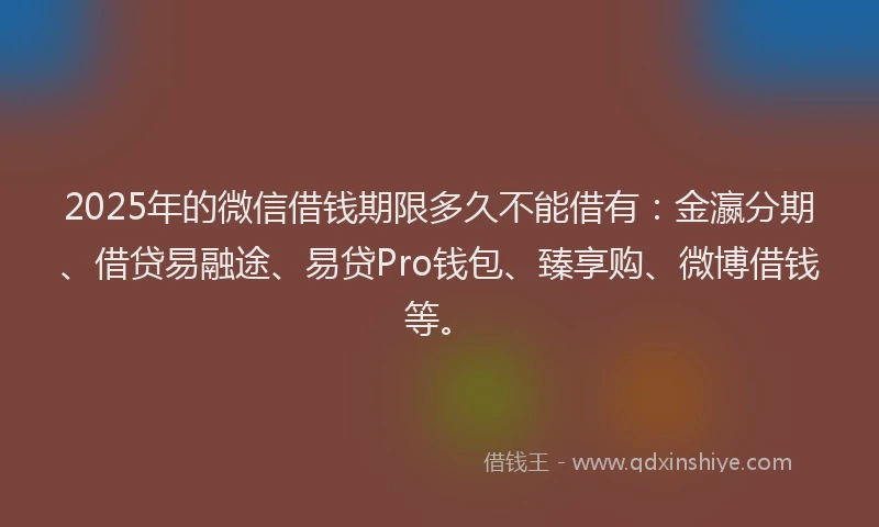 2025年的微信借钱期限多久不能借有：金瀛分期、借贷易融途、易贷Pro钱包、臻享购、微博借钱等。