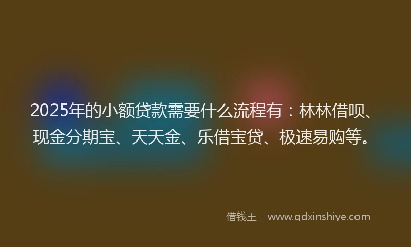 2025年的小额贷款需要什么流程有：林林借呗、现金分期宝、天天金、乐借宝贷、极速易购等。
