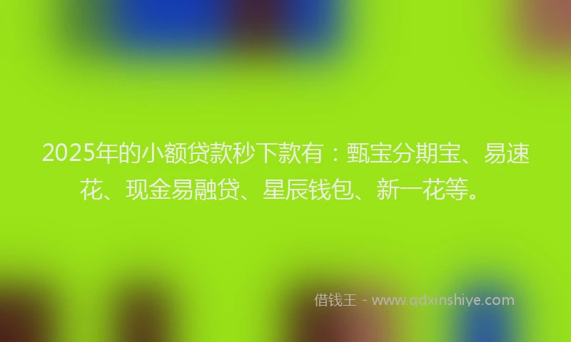 2025年的小额贷款秒下款有：甄宝分期宝、易速花、现金易融贷、星辰钱包、新一花等。