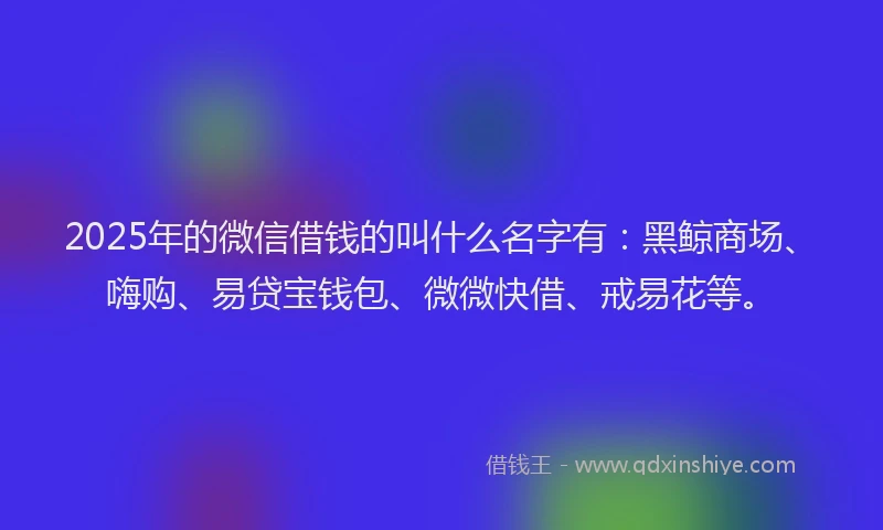 2025年的微信借钱的叫什么名字有：黑鲸商场、嗨购、易贷宝钱包、微微快借、戒易花等。