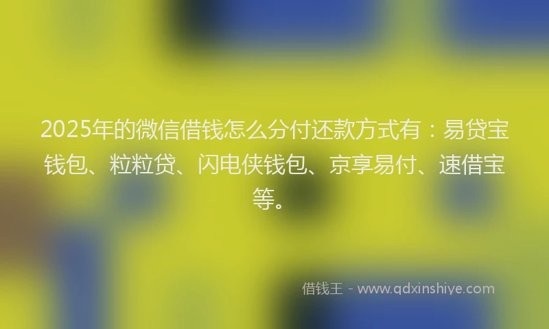 2025年的微信借钱怎么分付还款方式有：易贷宝钱包、粒粒贷、闪电侠钱包、京享易付、速借宝等。