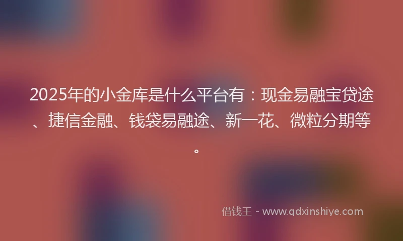 2025年的小金库是什么平台有：现金易融宝贷途、捷信金融、钱袋易融途、新一花、微粒分期等。