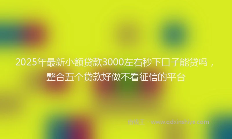 2025年最新小额贷款3000左右秒下口子能贷吗，整合五个贷款好做不看征信的平台
