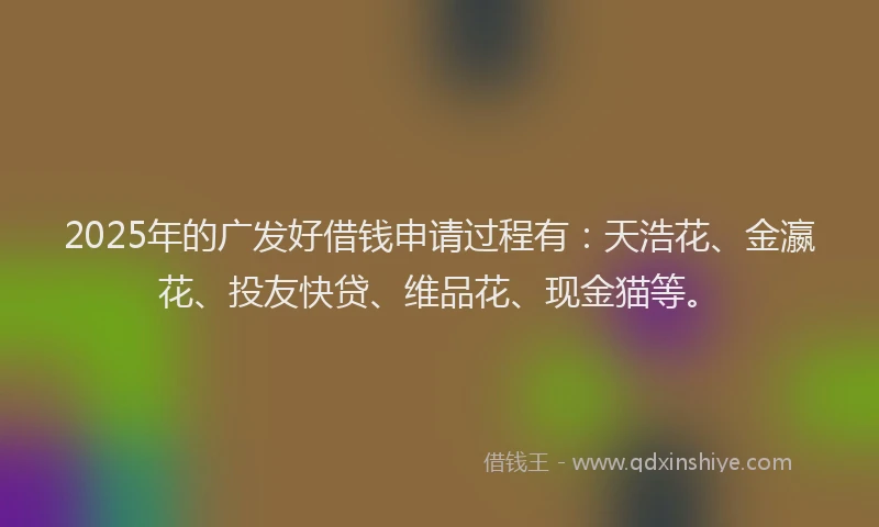 2025年的广发好借钱申请过程有：天浩花、金瀛花、投友快贷、维品花、现金猫等。