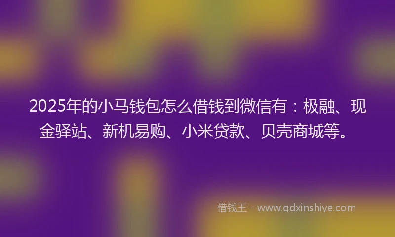 2025年的小马钱包怎么借钱到微信有:极融、现金驿站、新机易购、小米贷款、贝壳商城等。