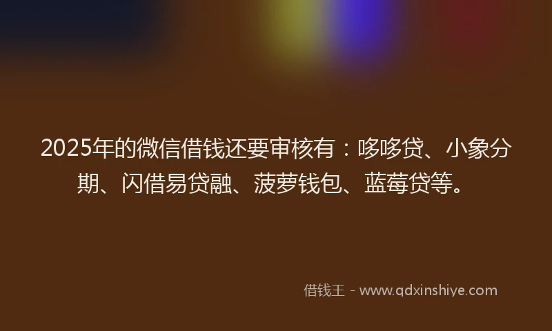 2025年的微信借钱还要审核有：哆哆贷、小象分期、闪借易贷融、菠萝钱包、蓝莓贷等。