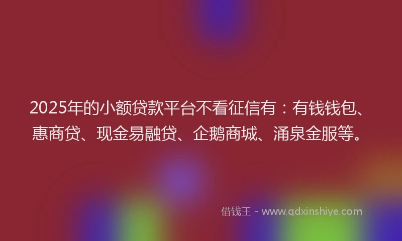 2025年的小额贷款平台不看征信有：有钱钱包、惠商贷、现金易融贷、企鹅商城、涌泉金服等。