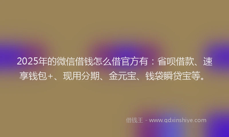 2025年的微信借钱怎么借官方有：省呗借款、速享钱包+、现用分期、金元宝、钱袋瞬贷宝等。