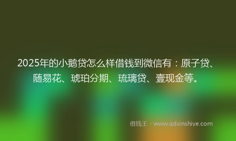 2025年的小鹅贷怎么样借钱到微信有：原子贷、随易花、琥珀分期、琉璃贷、壹现金等。