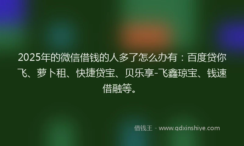 2025年的微信借钱的人多了怎么办有：百度贷你飞、萝卜租、快捷贷宝、贝乐享-飞鑫琼宝、钱速借融等。