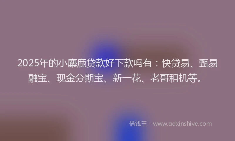 2025年的小麋鹿贷款好下款吗有：快贷易、甄易融宝、现金分期宝、新一花、老哥租机等。