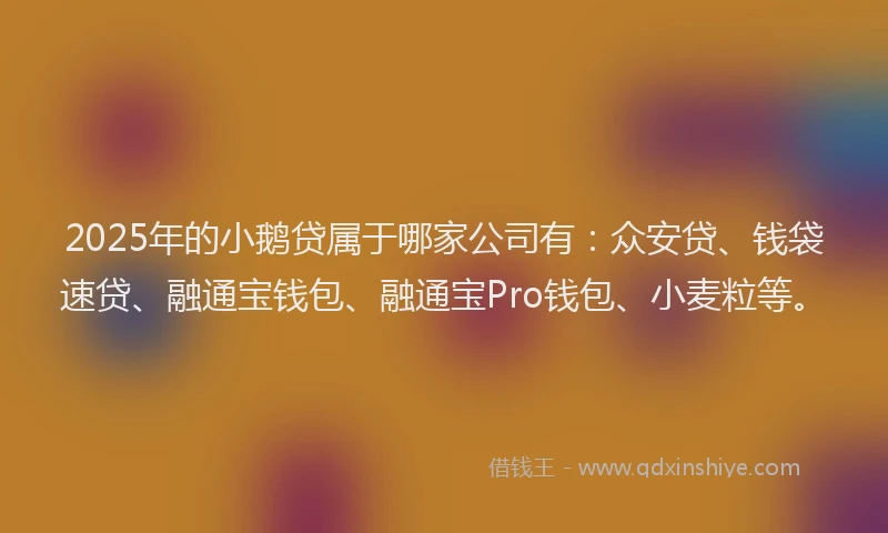 2025年的小鹅贷属于哪家公司有：众安贷、钱袋速贷、融通宝钱包、融通宝Pro钱包、小麦粒等。