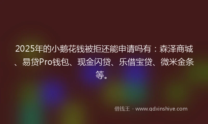 2025年的小鹅花钱被拒还能申请吗有：森泽商城、易贷Pro钱包、现金闪贷、乐借宝贷、微米金条等。