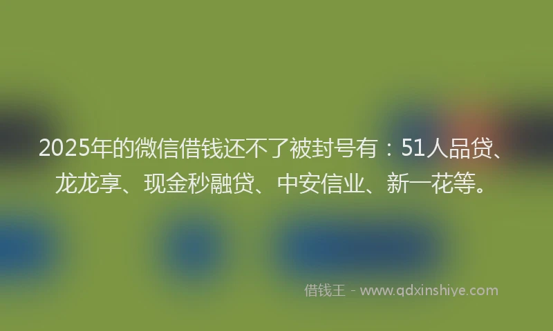2025年的微信借钱还不了被封号有：51人品贷、龙龙享、现金秒融贷、中安信业、新一花等。