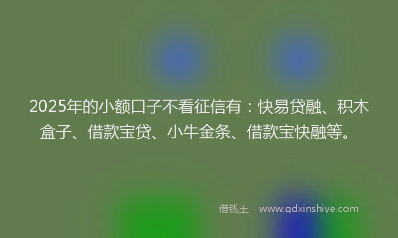 2025年的小额口子不看征信有：快易贷融、积木盒子、借款宝贷、小牛金条、借款宝快融等。