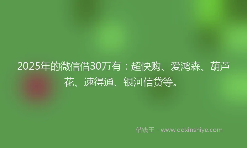 2025年的微信借30万有：超快购、爱鸿森、葫芦花、速得通、银河信贷等。