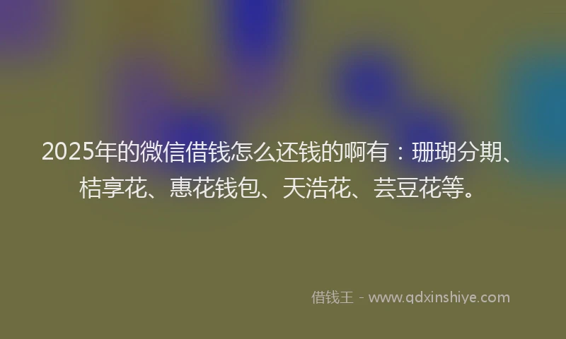 2025年的微信借钱怎么还钱的啊有：珊瑚分期、桔享花、惠花钱包、天浩花、芸豆花等。