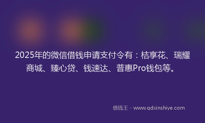 2025年的微信借钱申请支付令有：桔享花、瑞耀商城、臻心贷、钱速达、普惠Pro钱包等。