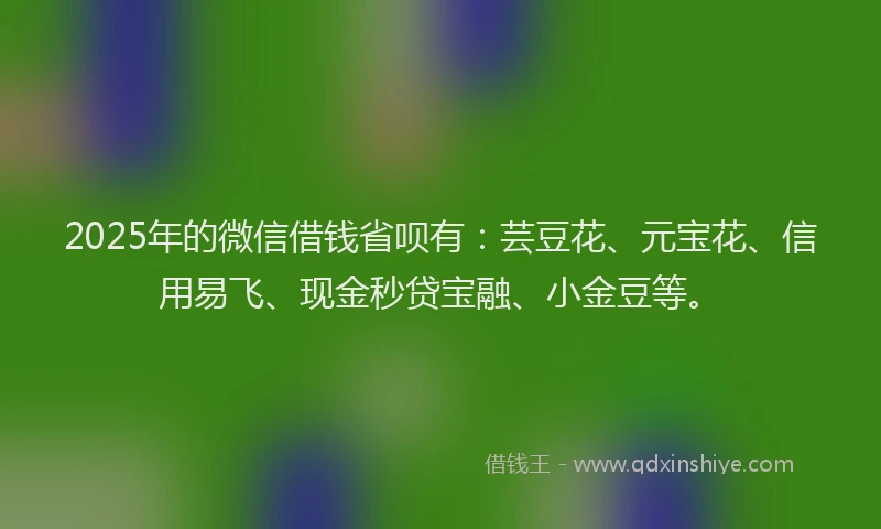 2025年的微信借钱省呗有：芸豆花、元宝花、信用易飞、现金秒贷宝融、小金豆等。