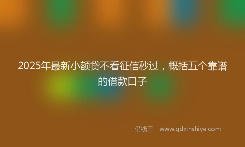2025年最新小额贷不看征信秒过，概括五个靠谱的借款口子