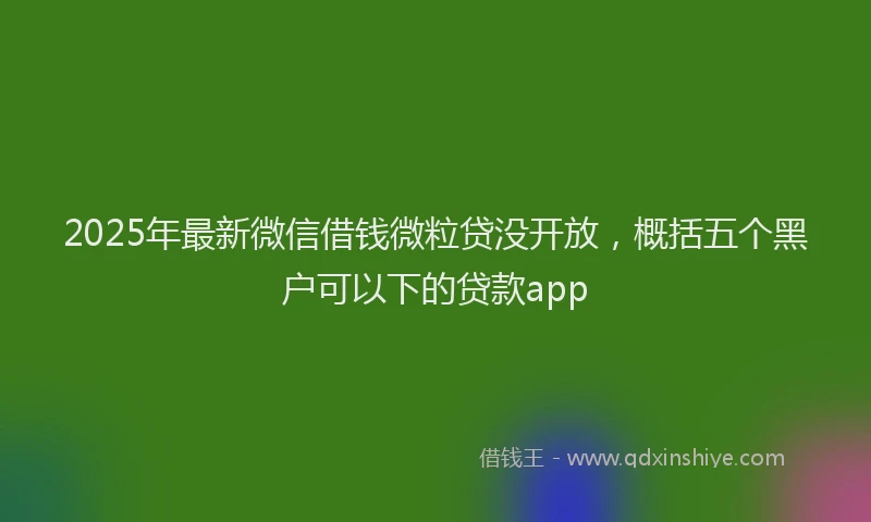 2025年最新微信借钱微粒贷没开放，概括五个黑户可以下的贷款app