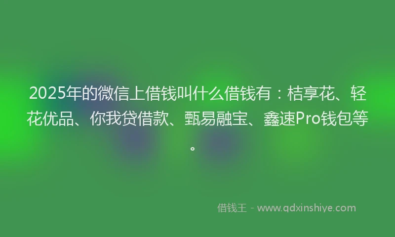 2025年的微信上借钱叫什么借钱有：桔享花、轻花优品、你我贷借款、甄易融宝、鑫速Pro钱包等。