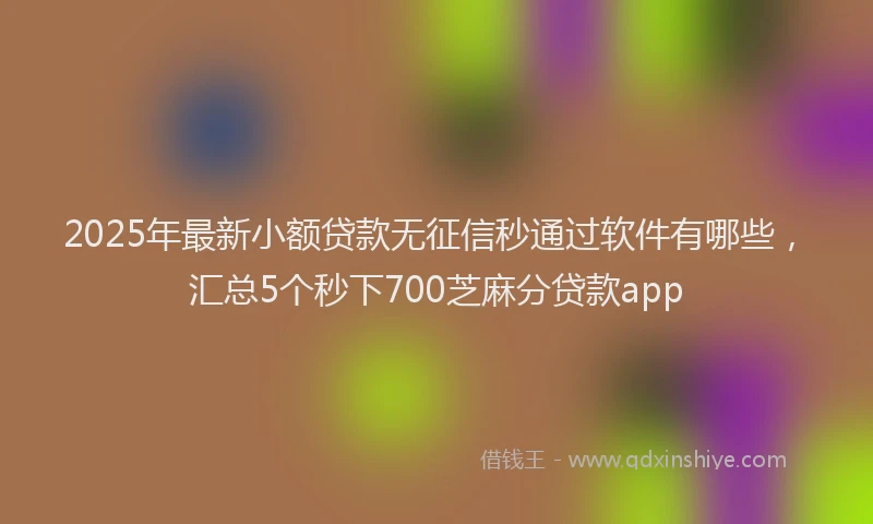 2025年最新小额贷款无征信秒通过软件有哪些，汇总5个秒下700芝麻分贷款app