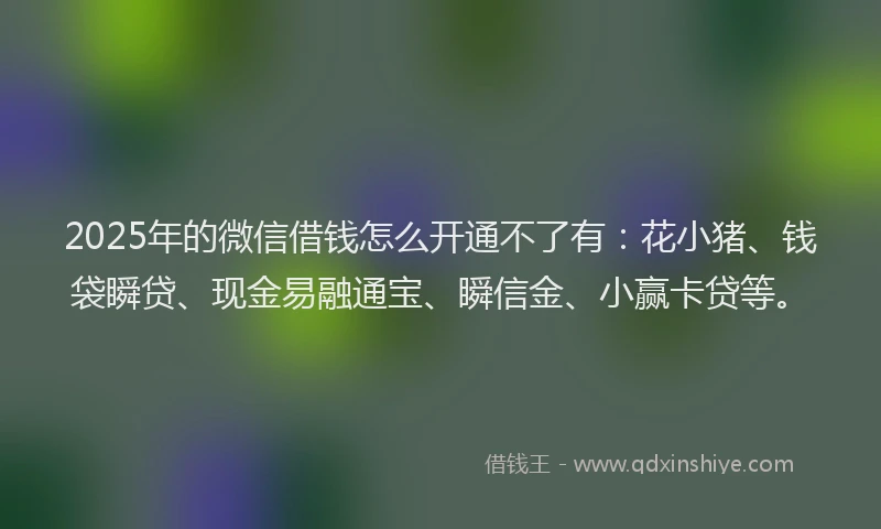 2025年的微信借钱怎么开通不了有：花小猪、钱袋瞬贷、现金易融通宝、瞬信金、小赢卡贷等。
