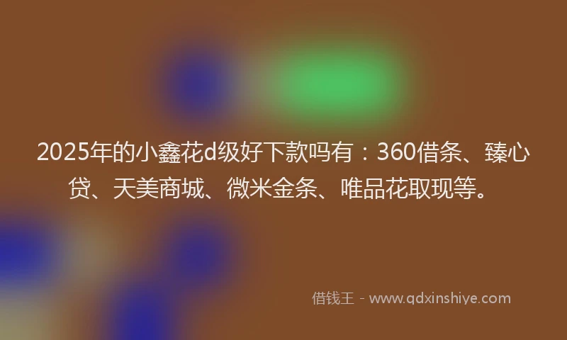2025年的小鑫花d级好下款吗有：360借条、臻心贷、天美商城、微米金条、唯品花取现等。