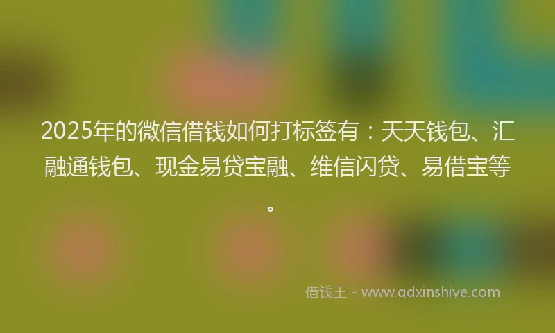 2025年的微信借钱如何打标签有：天天钱包、汇融通钱包、现金易贷宝融、维信闪贷、易借宝等。