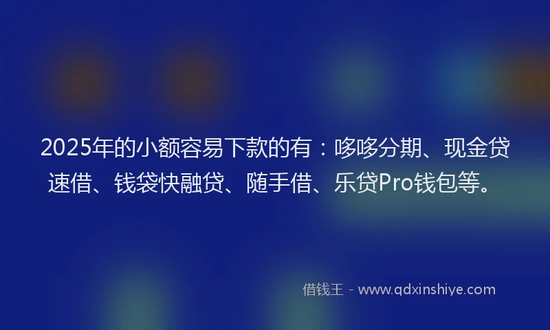 2025年的小额容易下款的有：哆哆分期、现金贷速借、钱袋快融贷、随手借、乐贷Pro钱包等。
