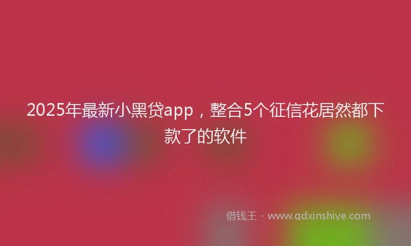 2025年最新小黑贷app，整合5个征信花居然都下款了的软件