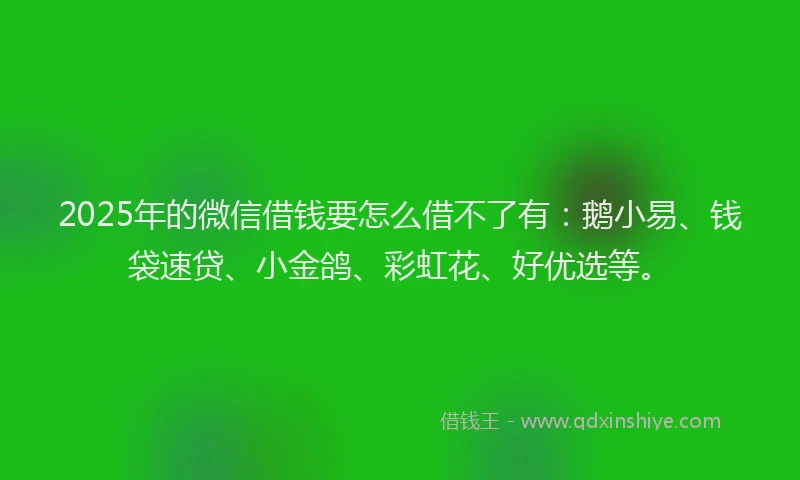 2025年的微信借钱要怎么借不了有：鹅小易、钱袋速贷、小金鸽、彩虹花、好优选等。