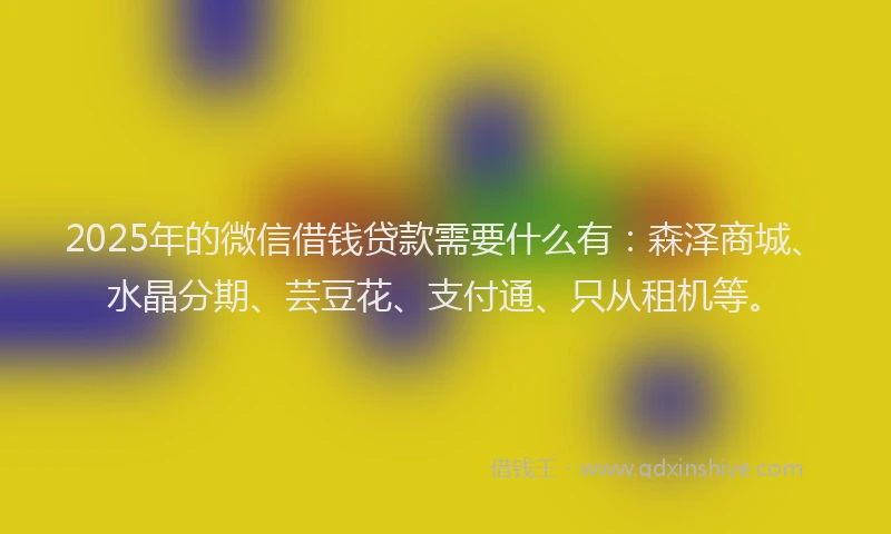 2025年的微信借钱贷款需要什么有：森泽商城、水晶分期、芸豆花、支付通、只从租机等。