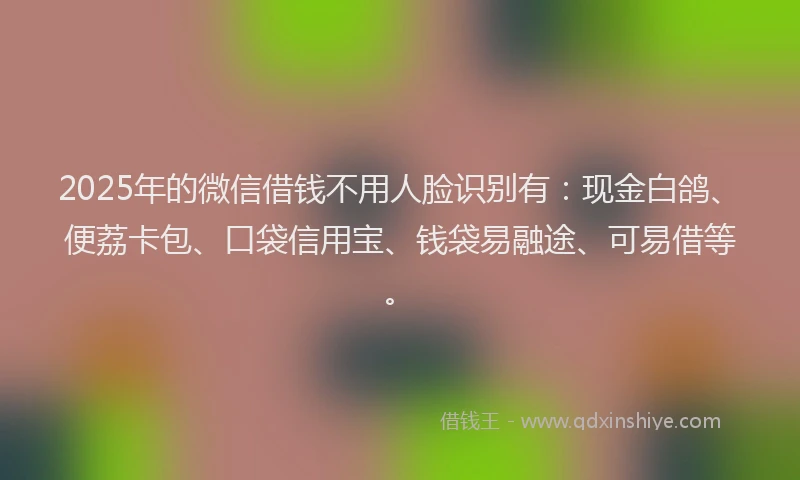 2025年的微信借钱不用人脸识别有：现金白鸽、便荔卡包、口袋信用宝、钱袋易融途、可易借等。