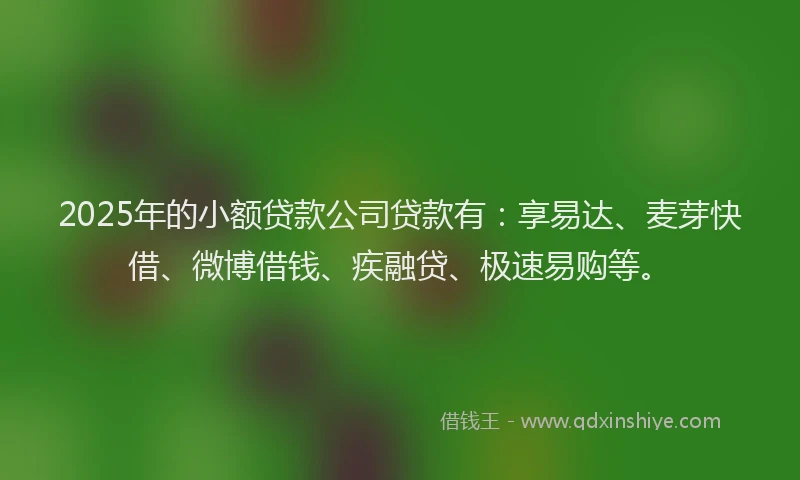 2025年的小额贷款公司贷款有：享易达、麦芽快借、微博借钱、疾融贷、极速易购等。