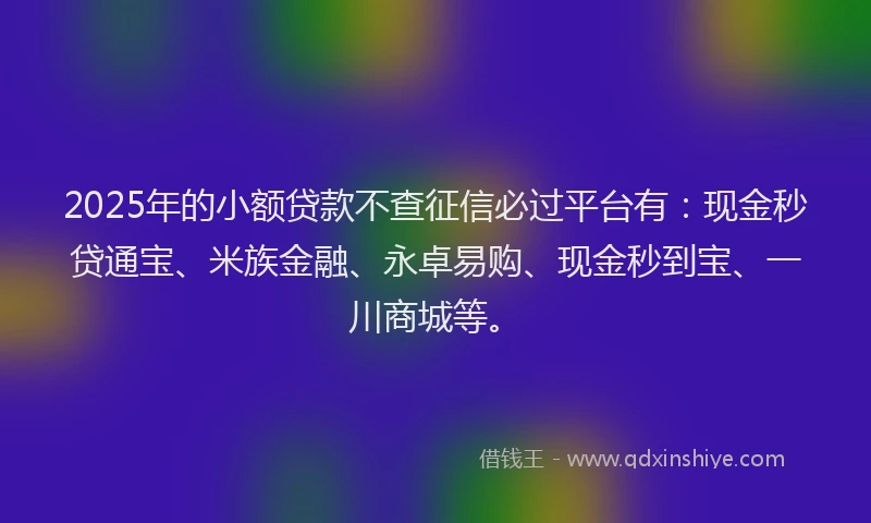 2025年的小额贷款不查征信必过平台有：现金秒贷通宝、米族金融、永卓易购、现金秒到宝、一川商城等。