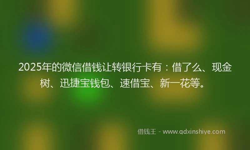2025年的微信借钱让转银行卡有：借了么、现金树、迅捷宝钱包、速借宝、新一花等。