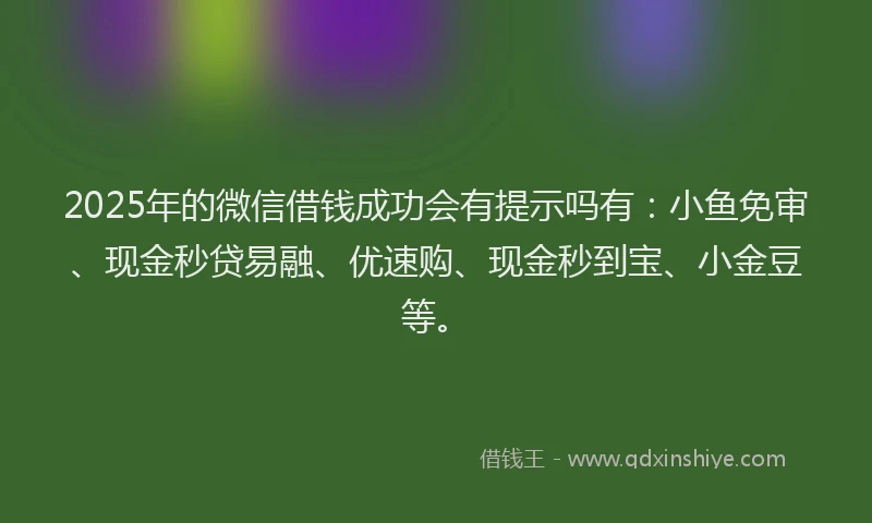 2025年的微信借钱成功会有提示吗有：小鱼免审、现金秒贷易融、优速购、现金秒到宝、小金豆等。