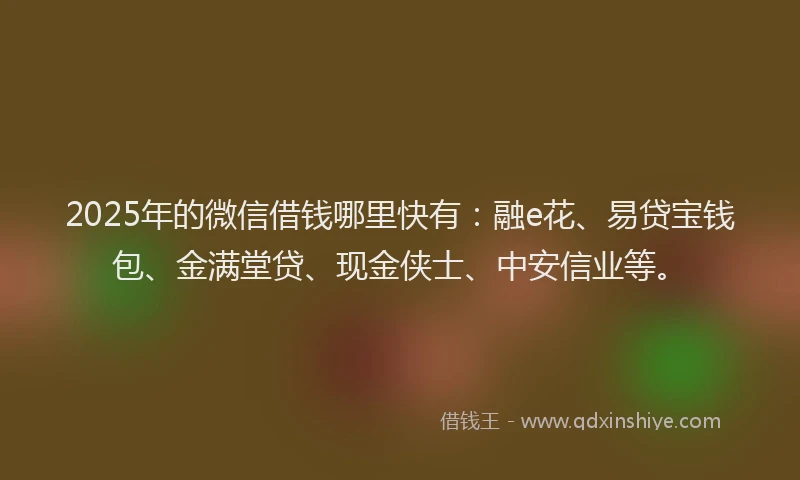 2025年的微信借钱哪里快有：融e花、易贷宝钱包、金满堂贷、现金侠士、中安信业等。
