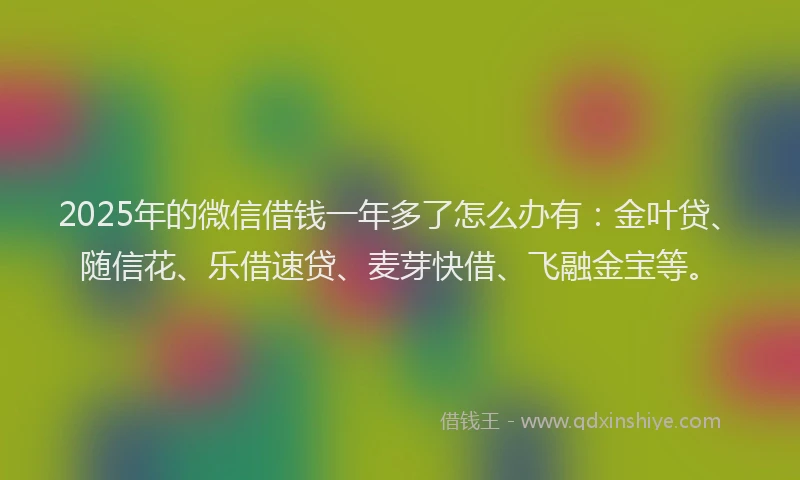 2025年的微信借钱一年多了怎么办有：金叶贷、随信花、乐借速贷、麦芽快借、飞融金宝等。