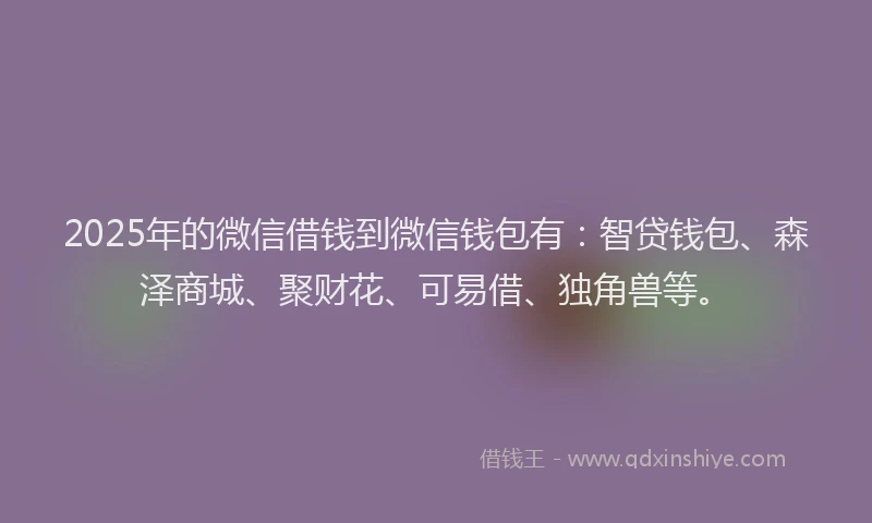 2025年的微信借钱到微信钱包有：智贷钱包、森泽商城、聚财花、可易借、独角兽等。